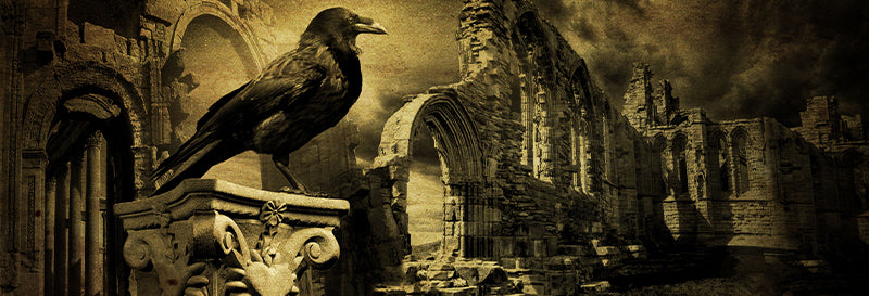 'STRANDED HEARTS' HAS ARRIVED'