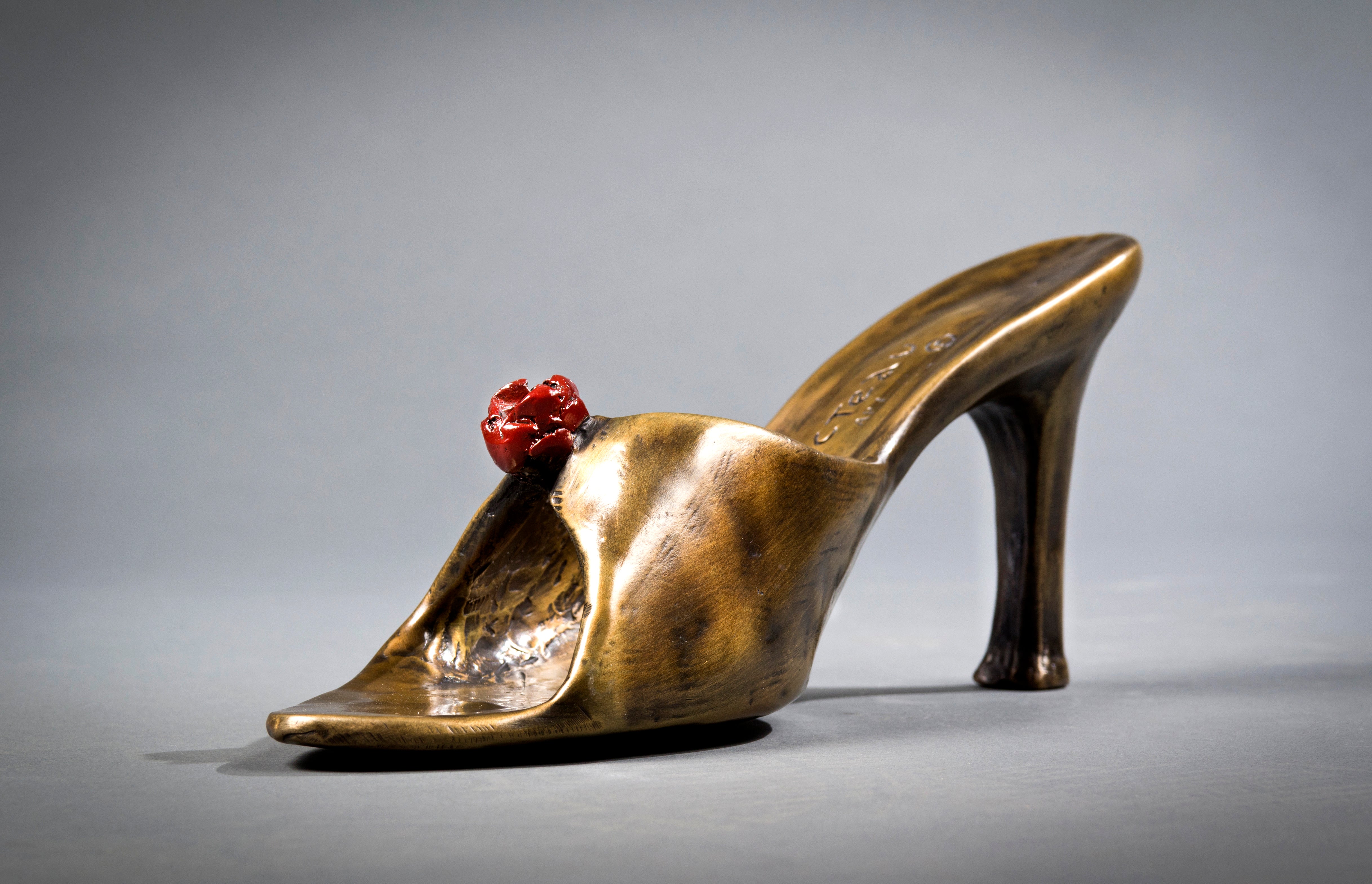 THE ENCHANTED SHOE